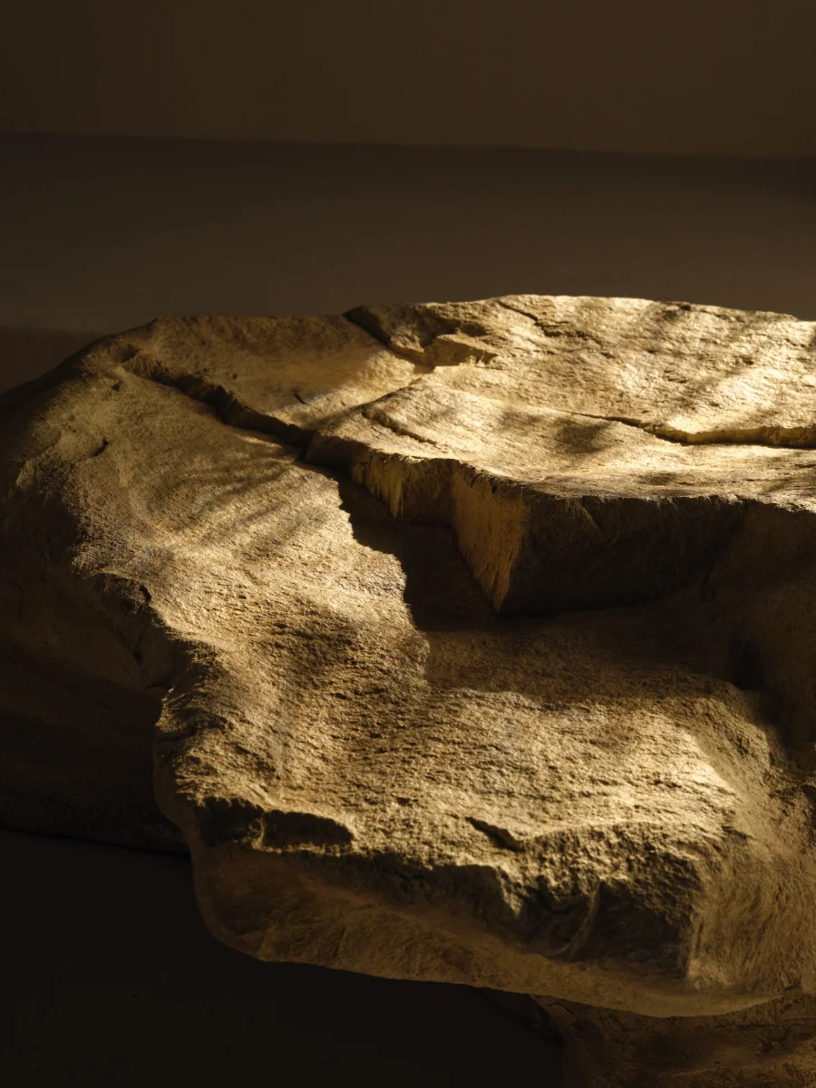 House of Grey Wolfe / Still life