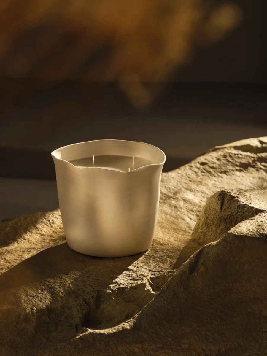 House of Grey Wolfe / Still life